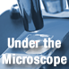 Under the Microscope – Daniel Lang